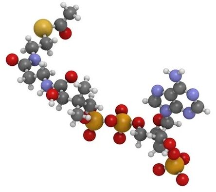 SimplA 360 contiene Coenzyme Q10